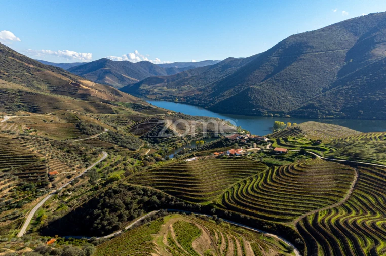 Quinta T5 para Venda em Seixo de Ansiães Foto 10