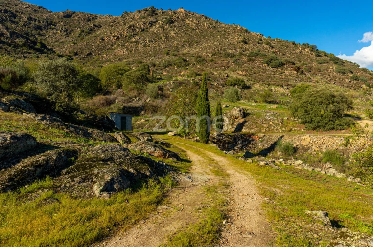 Quinta T5 para Venda em Seixo de Ansiães Foto 42