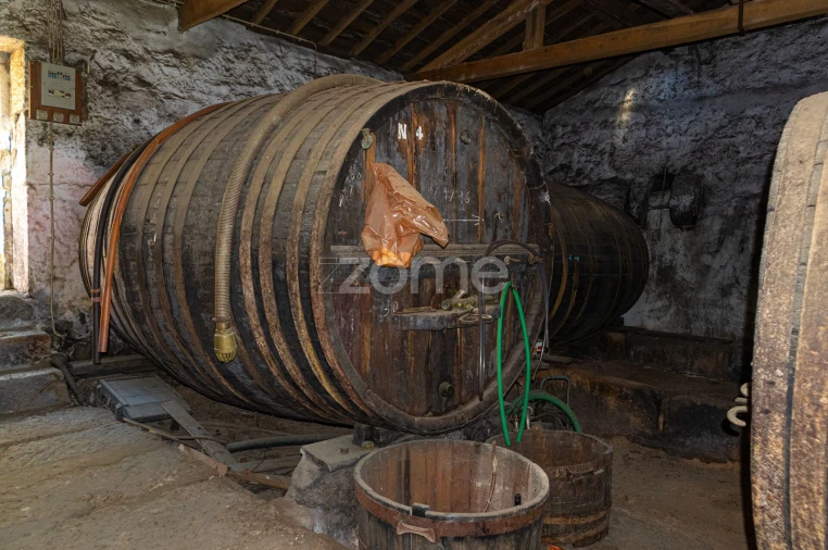 Quinta T5 para Venda em Seixo de Ansiães Foto 11