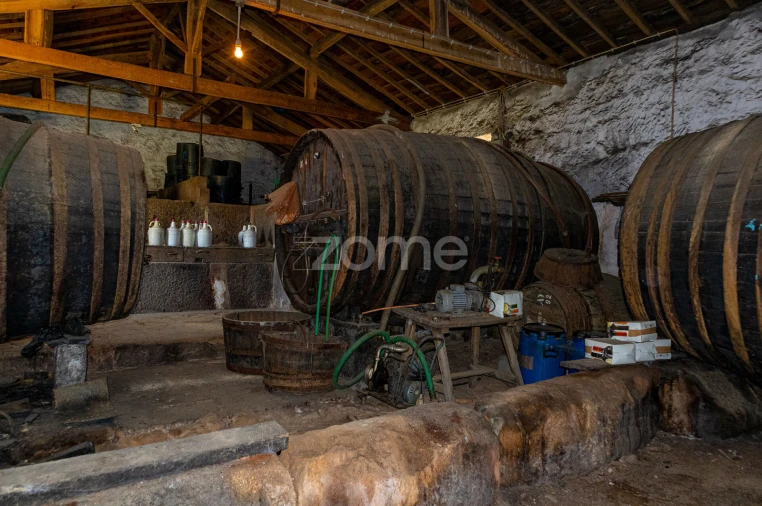 Quinta T5 para Venda em Seixo de Ansiães Foto 12