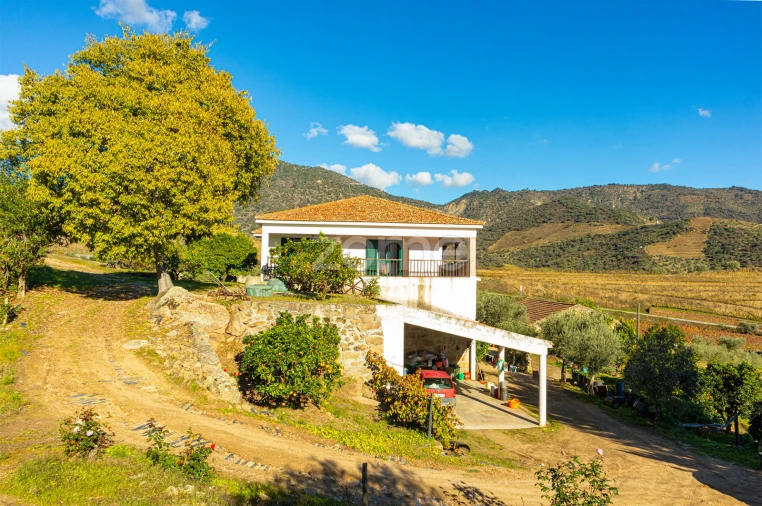 Quinta T5 para Venda em Seixo de Ansiães Foto 35