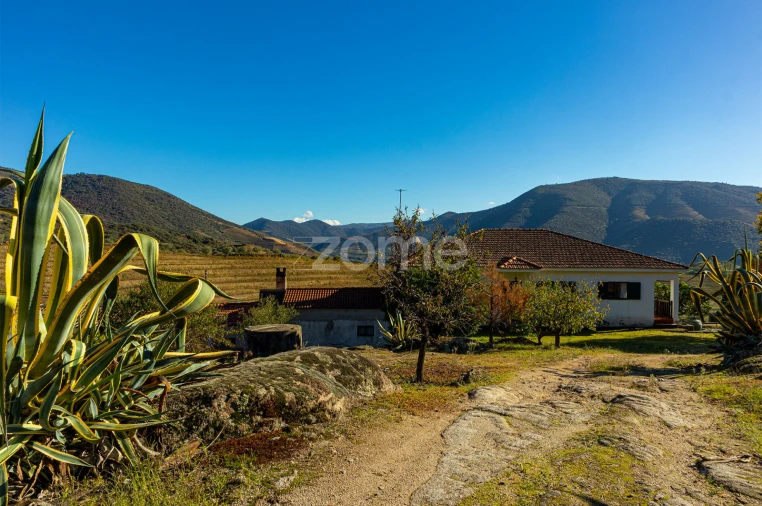 Quinta T5 para Venda em Seixo de Ansiães Foto 36