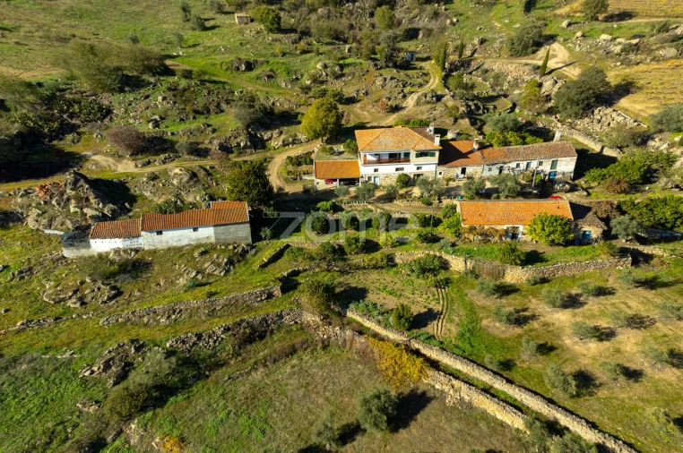 Quinta T5 para Venda em Seixo de Ansiães Foto 13