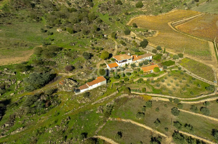 Quinta T5 para Venda em Seixo de Ansiães Foto 14