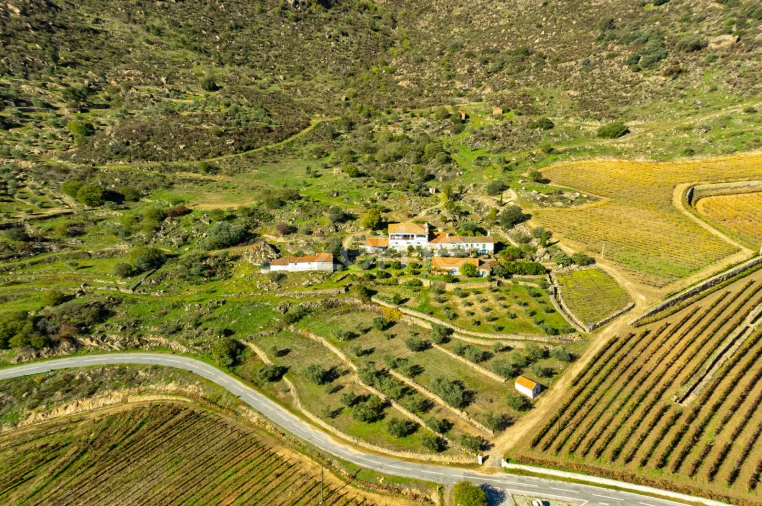 Quinta T5 para Venda em Seixo de Ansiães Foto 15