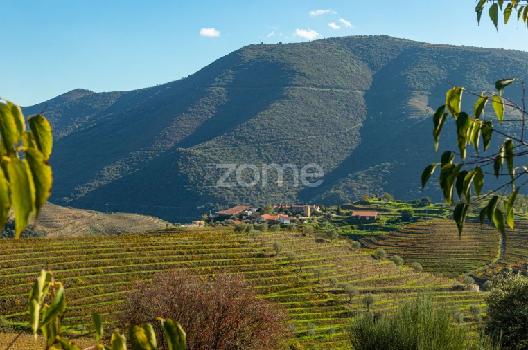 Quinta T5 para Venda em Seixo de Ansiães Foto 45