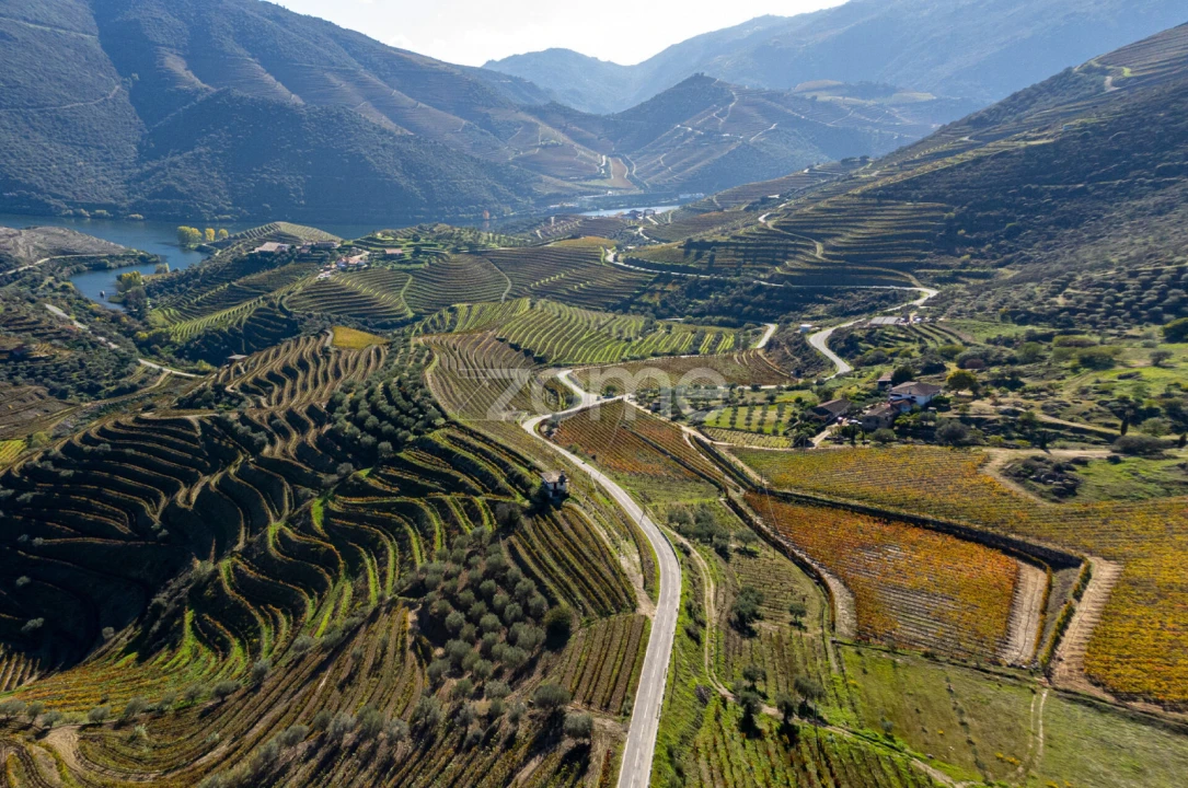Quinta T5 para Venda em Seixo de Ansiães Foto 4