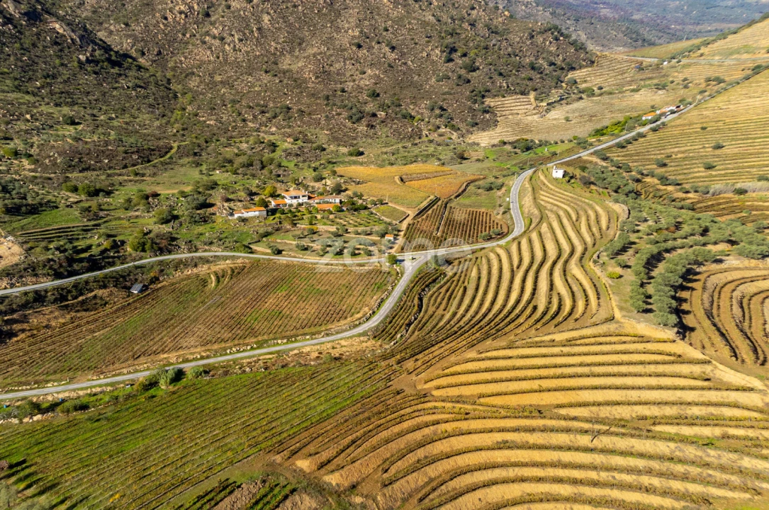 Quinta T5 para Venda em Seixo de Ansiães Foto 7