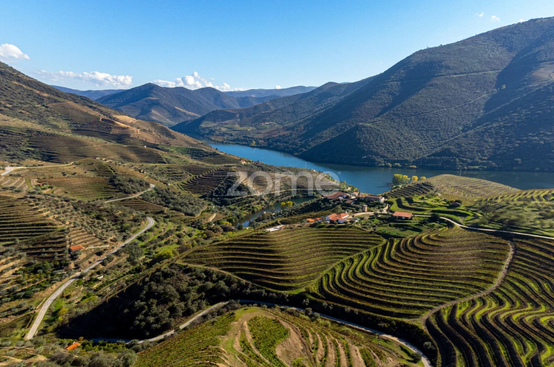Quinta T5 para Venda em Seixo de Ansiães Foto 10