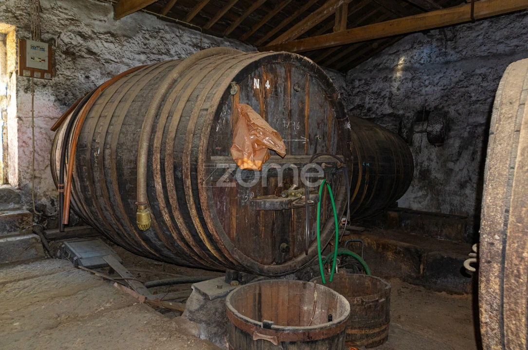 Quinta T5 para Venda em Seixo de Ansiães Foto 11