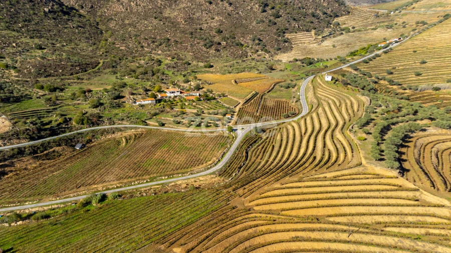 Quinta T5 para Venda em Seixo de Ansiães
