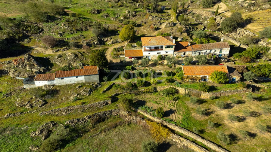 Quinta T5 para Venda em Seixo de Ansiães
