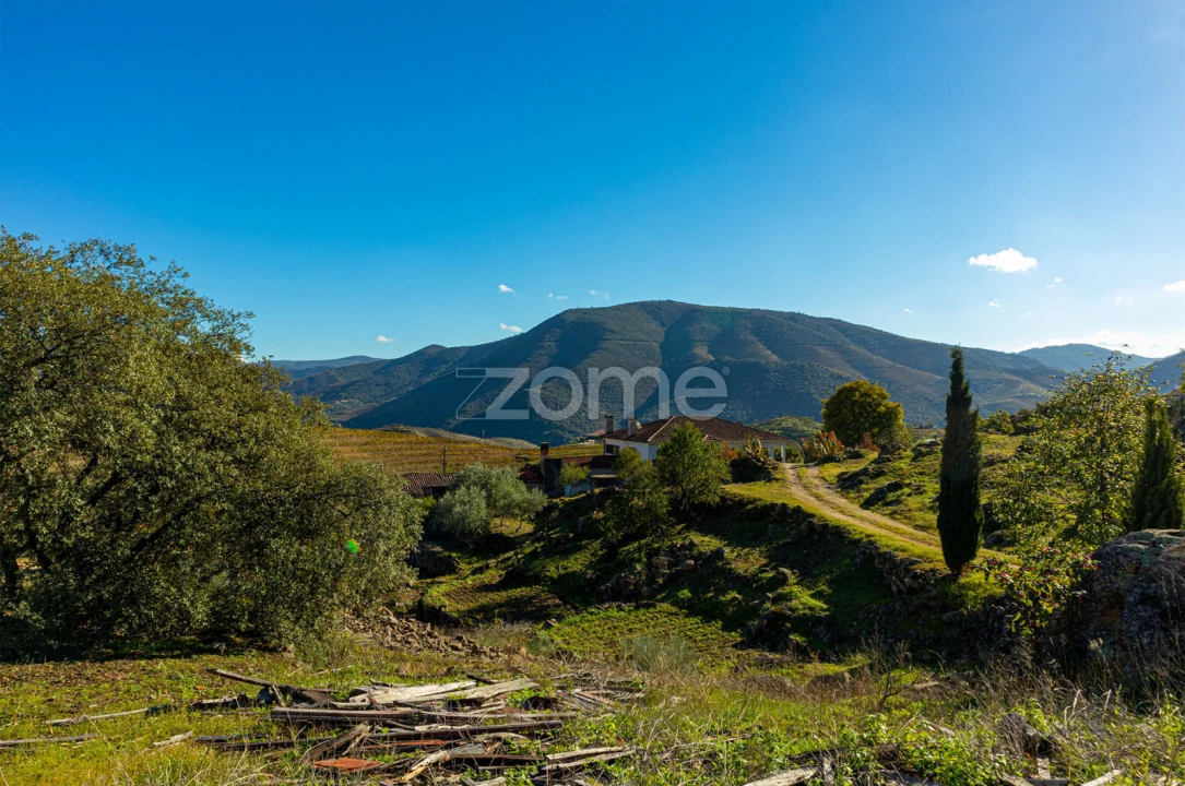 Quinta T5 para Venda em Seixo de Ansiães Foto 37