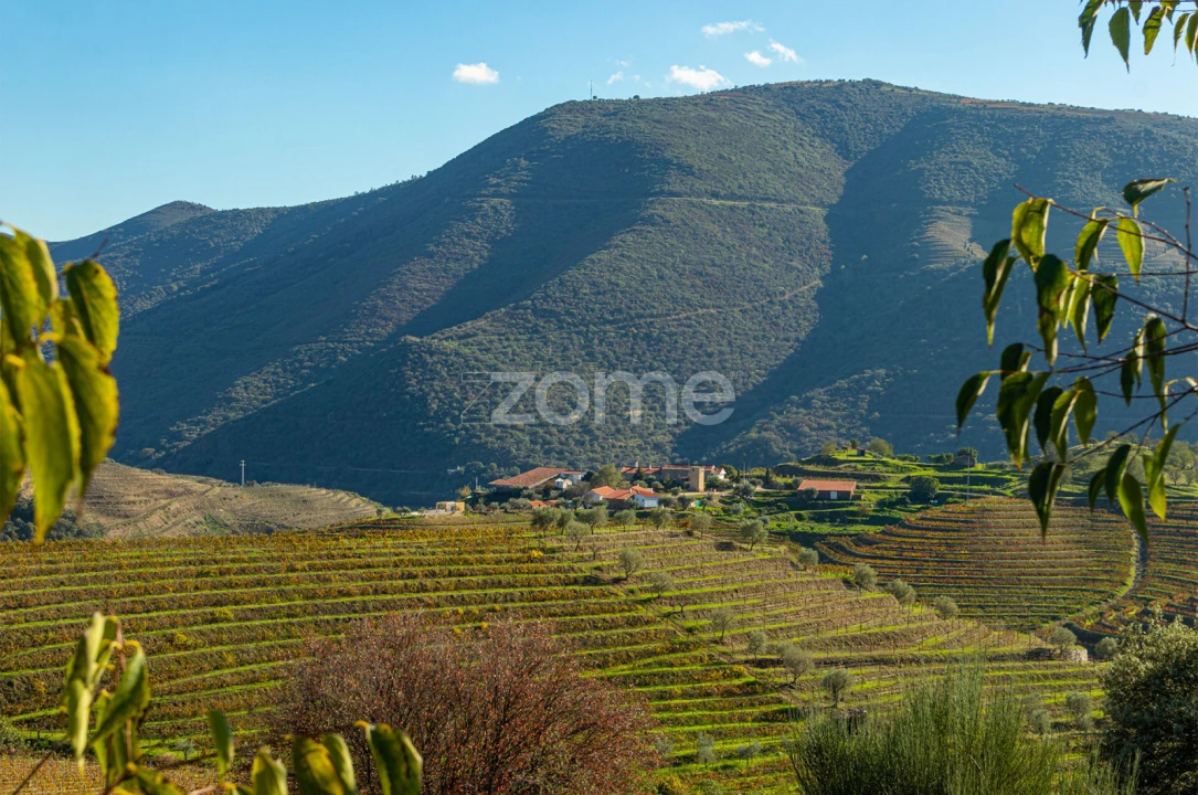 Quinta T5 para Venda em Seixo de Ansiães Foto 45