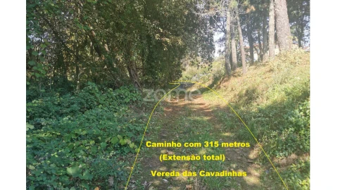 Terreno para Venda em Sandim, Olival, Lever e Crestuma