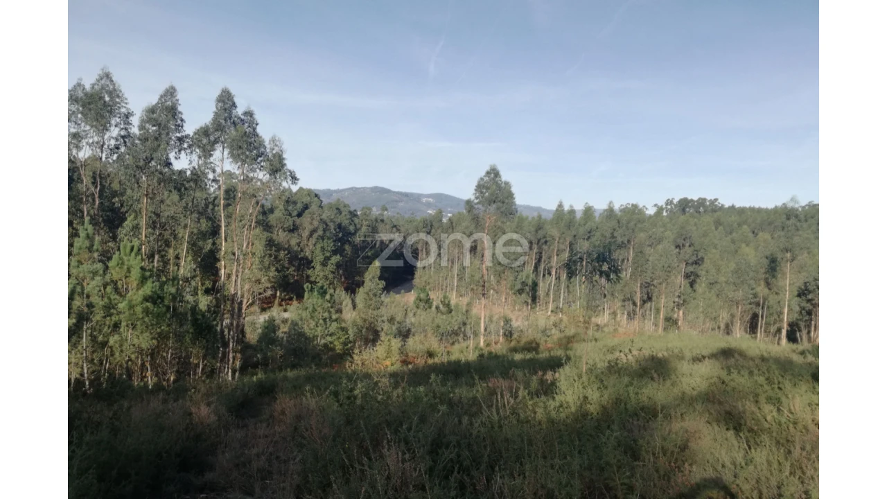 Terreno para Venda em Marrancos e Arcozelo Foto 5