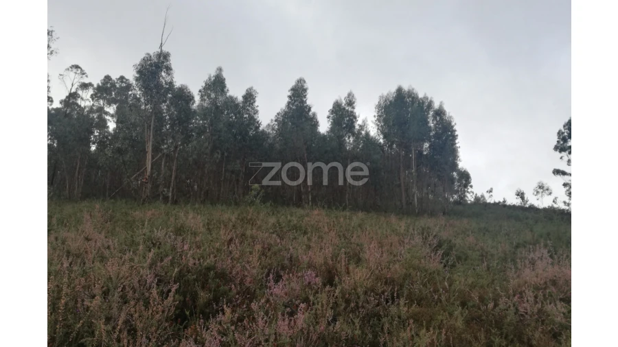 Terreno para Venda em Marrancos e Arcozelo Foto 4