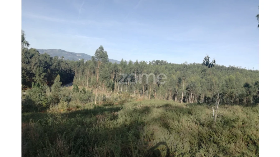 Terreno para Venda em Marrancos e Arcozelo Foto 8
