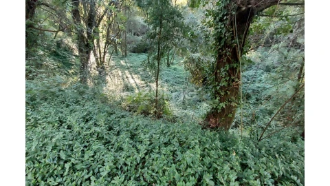 Terreno para Venda em Gondomar (São Cosme), Valbom e Jovim