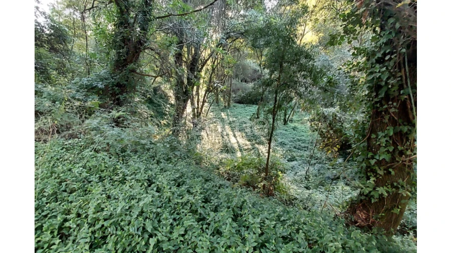 Terreno para Venda em Gondomar (São Cosme), Valbom e Jovim Foto 3