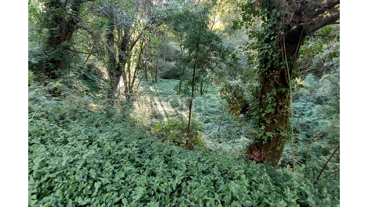 Terreno para Venda em Gondomar (São Cosme), Valbom e Jovim Foto 1