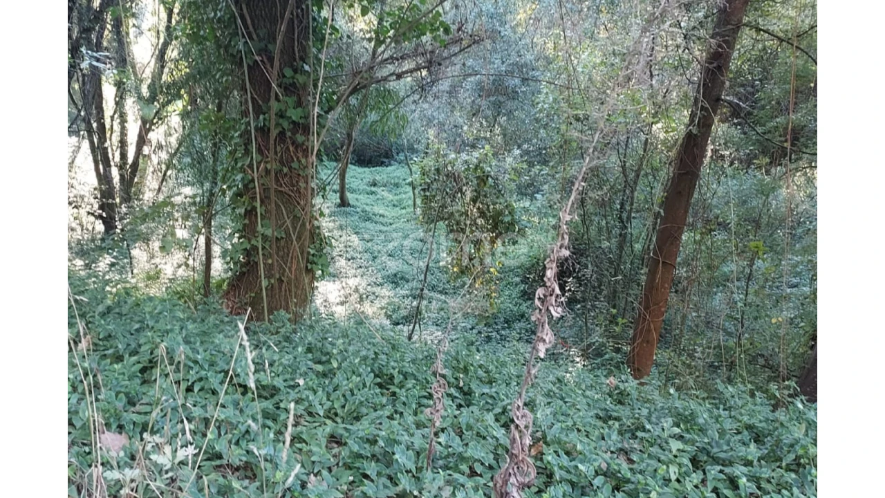 Terreno para Venda em Gondomar (São Cosme), Valbom e Jovim Foto 6