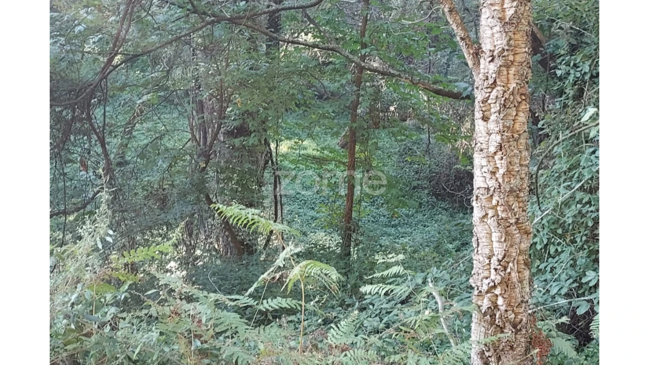 Terreno para Venda em Gondomar (São Cosme), Valbom e Jovim Foto 4