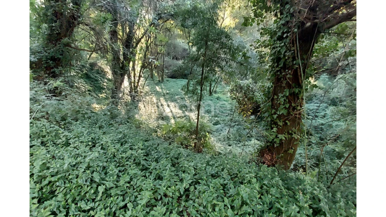 Terreno para Venda em Gondomar (São Cosme), Valbom e Jovim Foto 2
