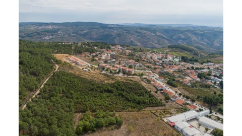 Terreno para Venda em Sabrosa