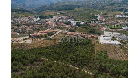 Terreno para Venda em Sabrosa