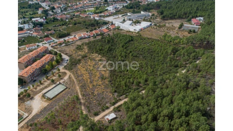 Terreno para Venda em Sabrosa