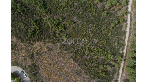Terreno para Venda em Sabrosa