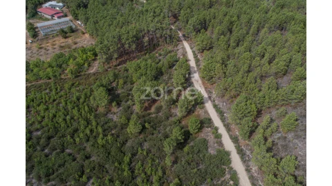 Terreno para Venda em Sabrosa