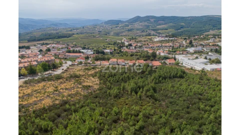 Terreno para Venda em Sabrosa