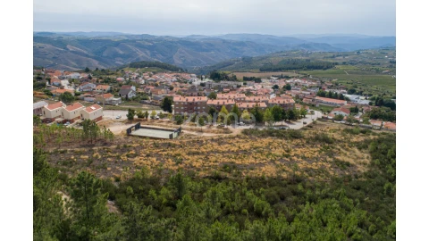 Terreno para Venda em Sabrosa