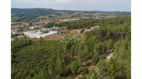Terreno para Venda em Sabrosa
