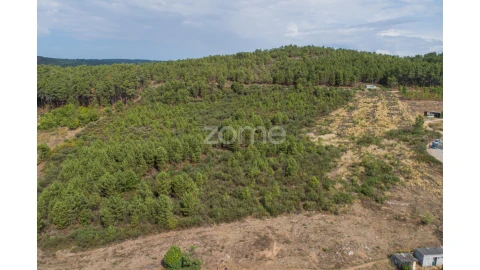 Terreno para Venda em Sabrosa