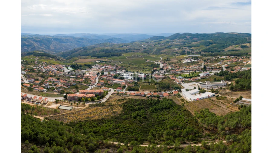 Terreno para Venda em Sabrosa Foto 30