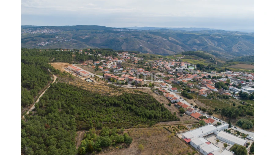 Terreno para Venda em Sabrosa Foto 10