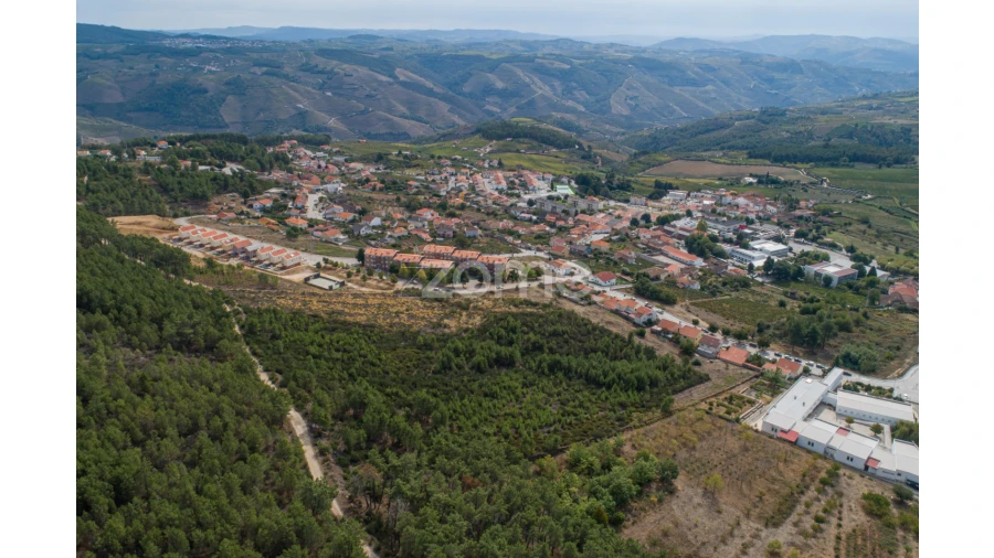 Terreno para Venda em Sabrosa Foto 12