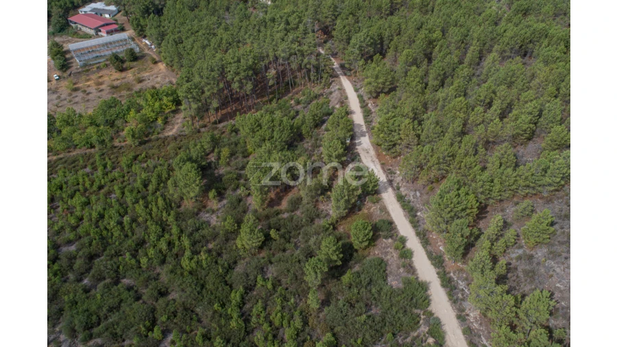 Terreno para Venda em Sabrosa Foto 18