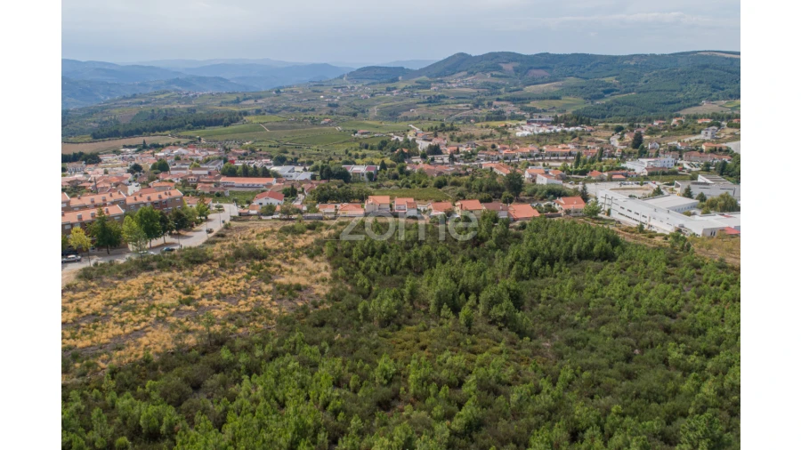 Terreno para Venda em Sabrosa Foto 19