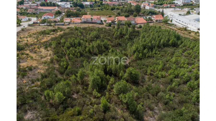 Terreno para Venda em Sabrosa Foto 22
