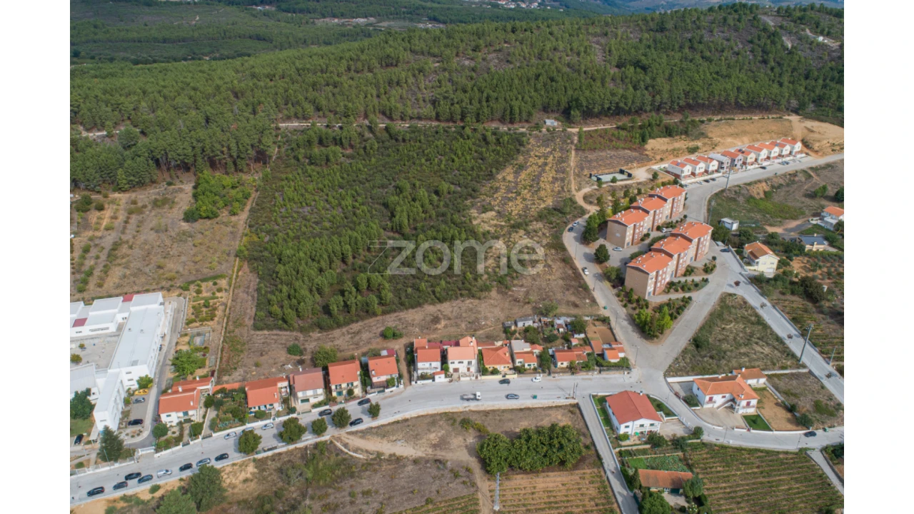 Terreno para Venda em Sabrosa Foto 3