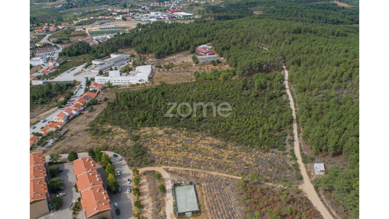 Terreno para Venda em Sabrosa Foto 9