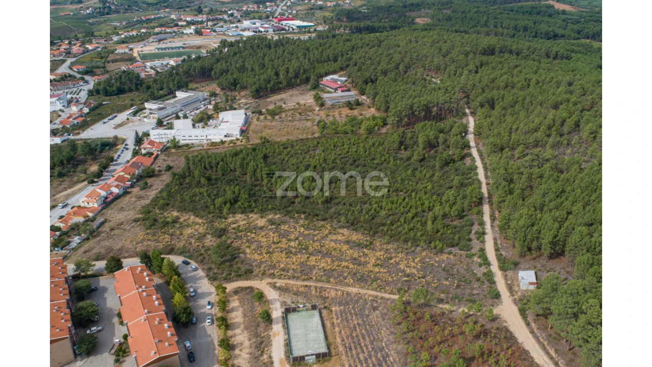 Terreno para Venda em Sabrosa Foto 7
