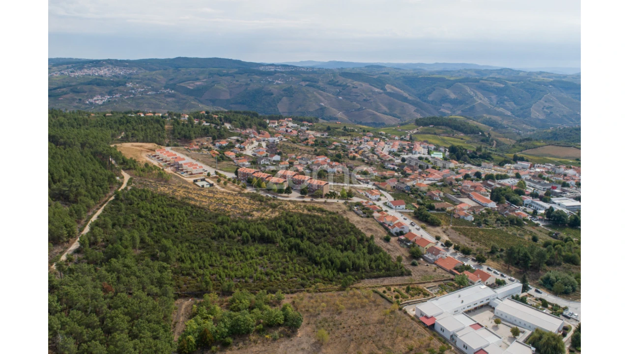 Terreno para Venda em Sabrosa Foto 10