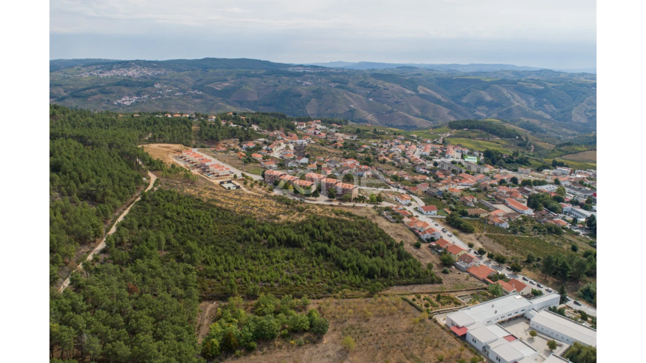 Terreno para Venda em Sabrosa Foto 11