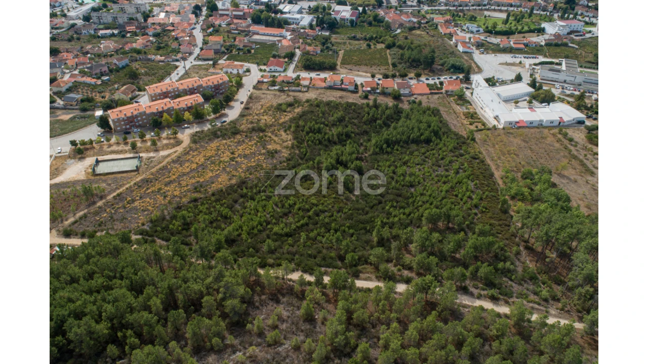 Terreno para Venda em Sabrosa Foto 14