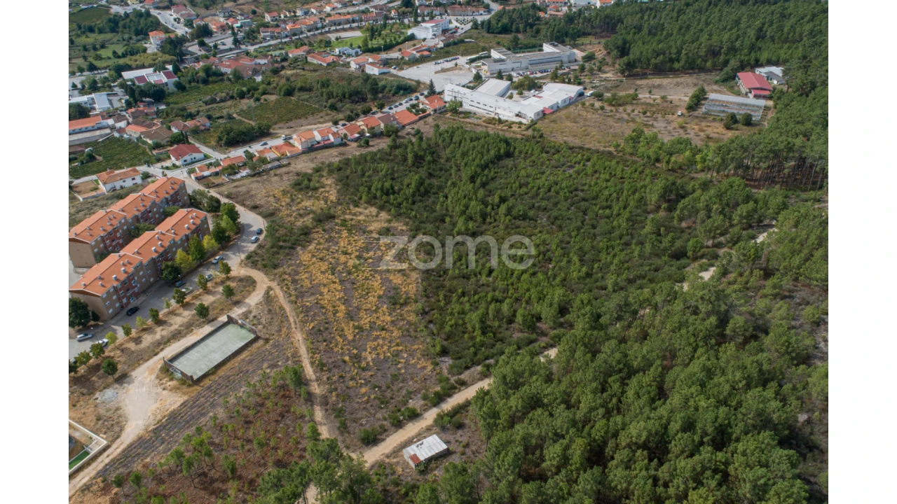 Terreno para Venda em Sabrosa Foto 15